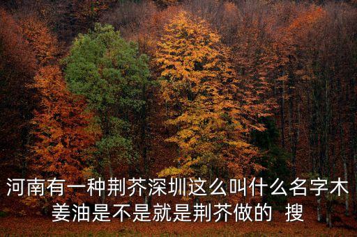 廣州荊芥油，廣州中藥油廠家