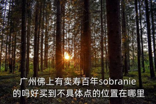 廣州薄荷綠專賣(mài)店，廣州佛上有賣(mài)壽百年sobranie 的嗎好買(mǎi)到不具體點(diǎn)的位置在哪里