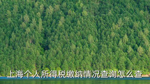 上海個(gè)人所得稅繳納情況查詢?cè)趺床? class=