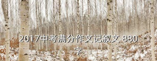 2017上海市中考滿分作文，中考滿分作文