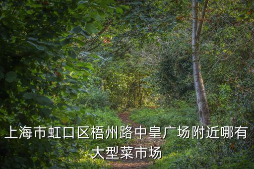 上海市虹口區梧州路中皇廣場附近哪有大型菜市場