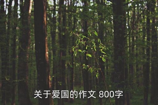 愛國作文800字高中，以愛國為話題的作文
