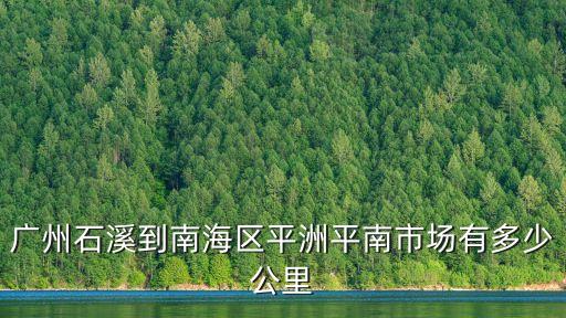 廣州石溪到南海區平洲平南市場有多少公里