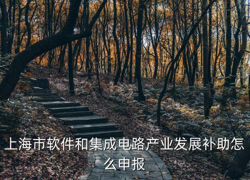 上海市軟件和集成電路產(chǎn)業(yè)發(fā)展補(bǔ)助怎么申報
