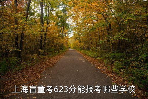 全盲考生 上海市前10，高考上海市前30是什么概念沒有加分的孩子有希望嗎