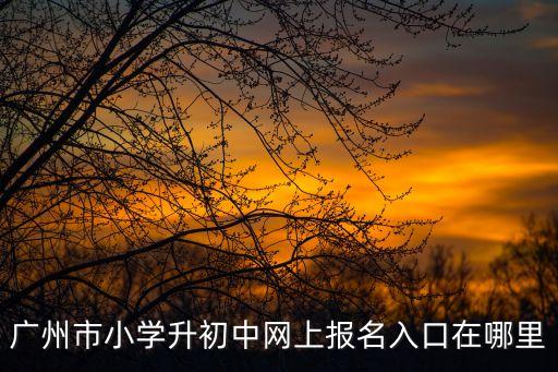 廣州市小學升初中網上報名入口在哪里