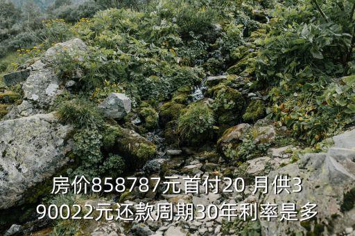 房價858787元首付20 月供390022元還款周期30年利率是多