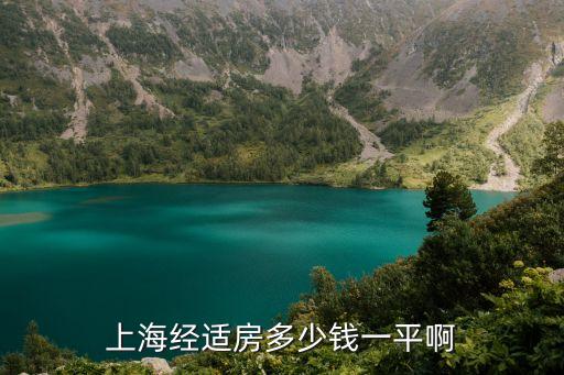 上海經(jīng)適房多少錢一平啊