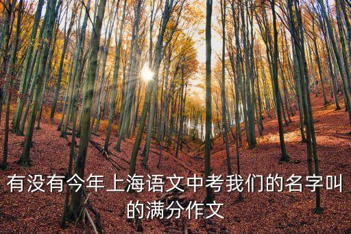 今年上海市中考作文題，今年上海中考語文的作文題目是什么