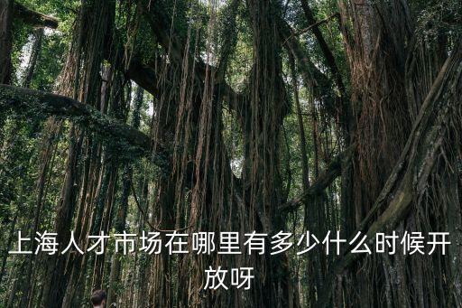 上海市人才bC，上海市人才引進類的居住證有哪幾類