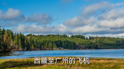 西藏至廣州的飛機