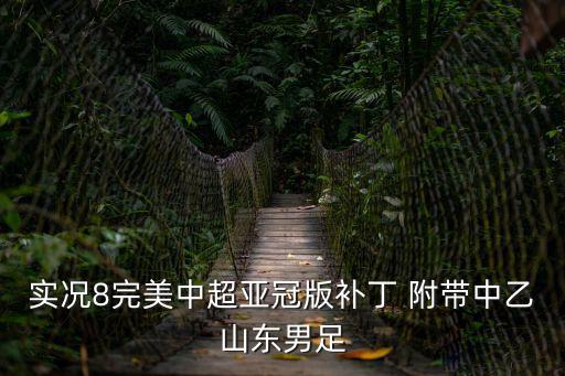 實況8完美中超亞冠版補丁 附帶中乙山東男足
