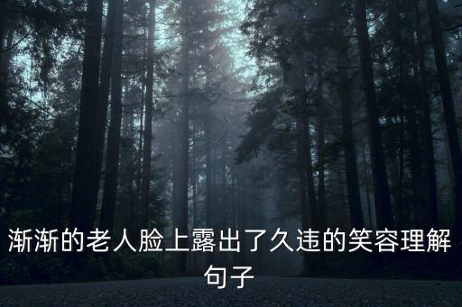 漸漸的老人臉上露出了久違的笑容理解句子