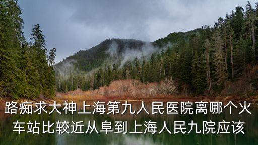 路癡求大神上海第九人民醫(yī)院離哪個(gè)火車站比較近從阜到上海人民九院應(yīng)該