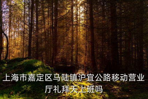 上海市嘉定區(qū)滬宜公路2365號，上海市嘉定區(qū)馬陸鎮(zhèn)滬宜公路移動營業(yè)廳禮拜天上班嗎