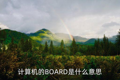 計算機的BOARD是什么意思