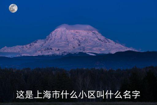 這是上海市什么小區(qū)叫什么名字