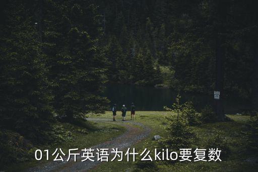 01公斤英語為什么kilo要復數