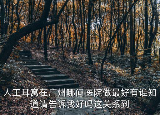 廣州哪里能做助聽器耳印，想做音樂耳模請問哪里可以做呢