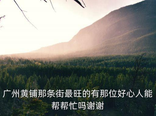 廣州黃埔區比較好的街道，廣州黃埔區除了東區和生活區是很旺的商業街之外那么黃埔區還有那