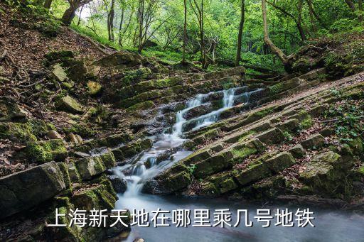 桂林西街15弄去上海市新天地，桂林路春園烤肉從新天地怎么去