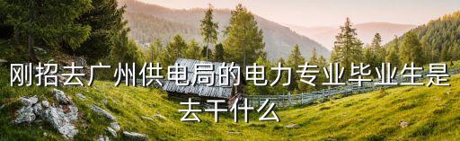 剛招去廣州供電局的電力專業畢業生是去干什么