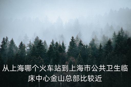 從上海哪個火車站到上海市公共衛生臨床中心金山總部比較近