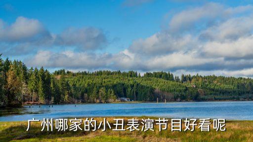 廣州哪家的小丑表演節(jié)目好看呢