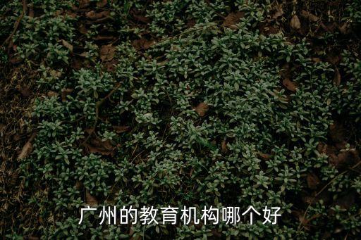 廣州的教育機構哪個好