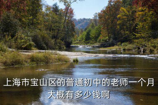 上海市寶山區(qū)的普通初中的老師一個月大概有多少錢啊