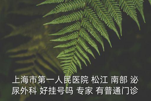 上海市第一人民醫院 松江 南部 泌尿外科 好掛號嗎 專家 有普通門診
