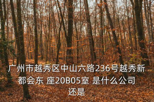 廣州市越秀區中山六路236號越秀新都會東 座20B05室 是什么公司還是