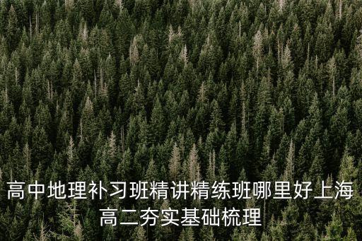 上海市第二中學(xué) 王穎，高中地理補(bǔ)習(xí)班精講精練班哪里好上海高二夯實(shí)基礎(chǔ)梳理