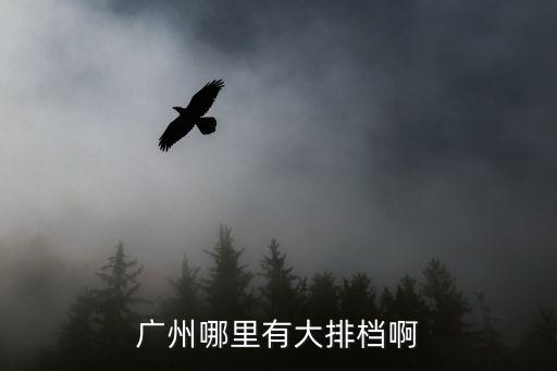 廣州十七涌大排檔，廣州哪里有大排檔啊