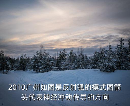 2010廣州如圖是反射弧的模式圖箭頭代表神經沖動傳導的方向