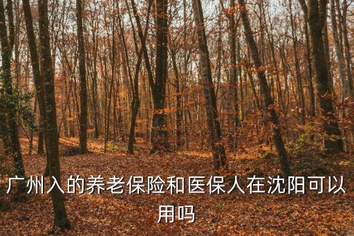 在廣州交的社保在東北還能用嗎，廣州入的養老保險和醫保人在沈陽可以用嗎
