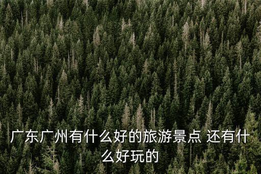 廣東廣州有什么好的旅游景點 還有什么好玩的
