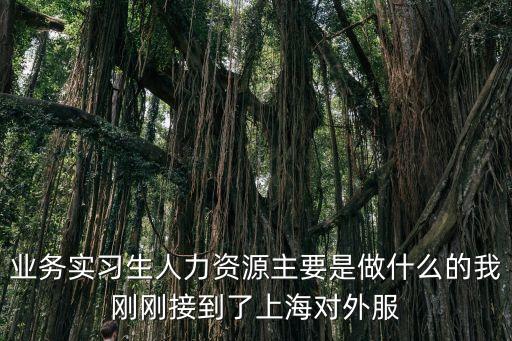 業務實習生人力資源主要是做什么的我剛剛接到了上海對外服