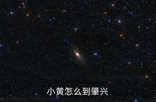 小黃怎么到肇興