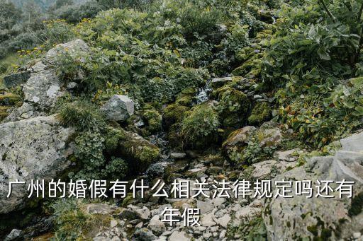 廣州的婚假有什么相關法律規定嗎還有年假