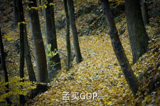 印度孟買(mǎi)和廣州的gdp對(duì)比，孟買(mǎi)GDP