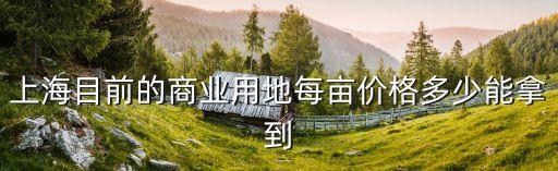 上海目前的商業用地每畝價格多少能拿到