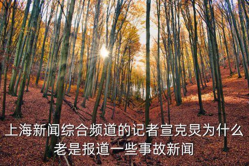 上海新聞綜合頻道的記者宣克炅為什么老是報道一些事故新聞