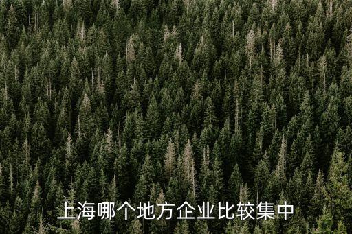 上海哪個地方企業比較集中