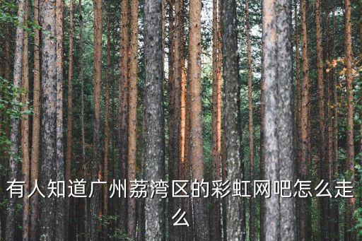 有人知道廣州荔灣區的彩虹網吧怎么走么