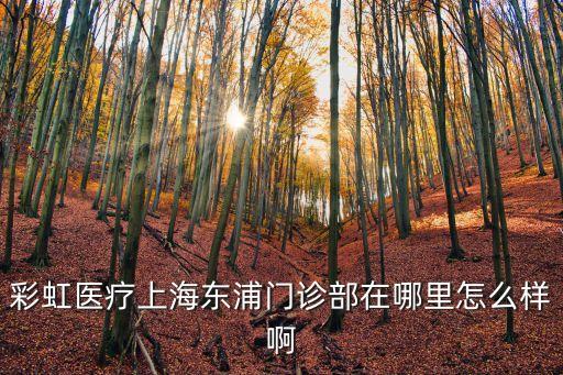 上海市東波路325弄，東波路325弄18號202屬于什么浦東新區什么鎮