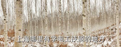 上海哪里有學電工技能的地方