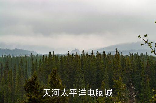 天河太平洋電腦城
