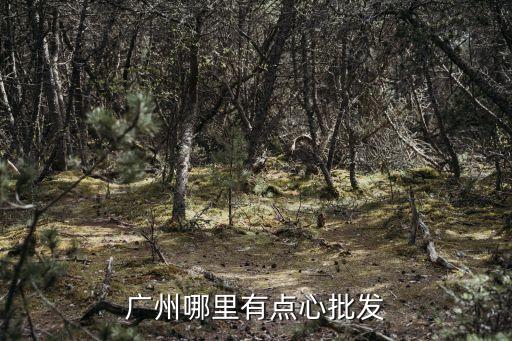廣州糕點餅干批發，廣州中山六路附近一德路除外哪有餅干各類食品批發部請知