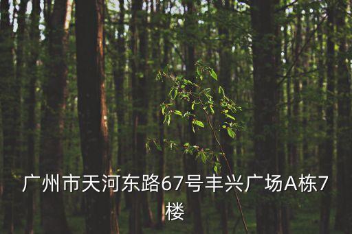 廣州市天河東路67號豐興廣場A棟7樓